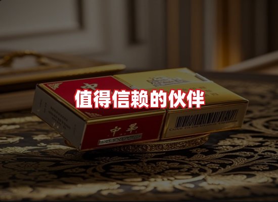 专业团队